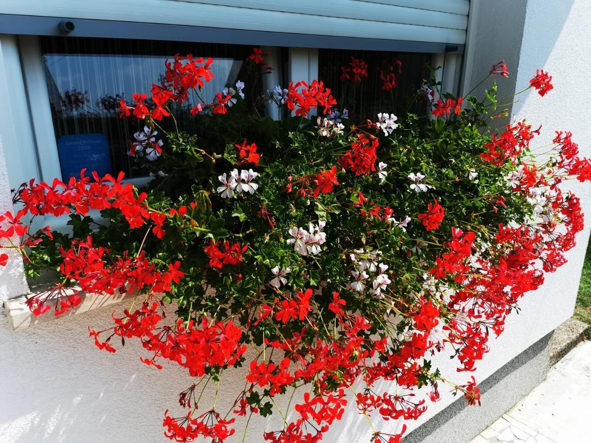 Holiday Home Bulog Sinac Dış mekan fotoğraf